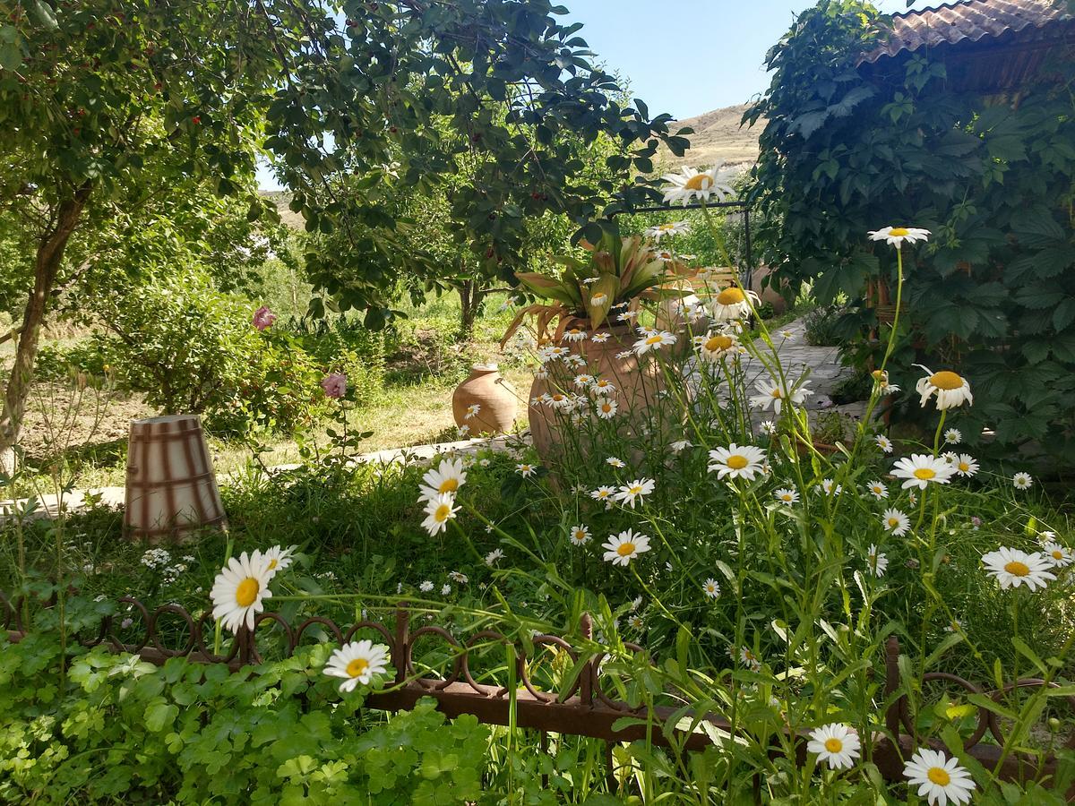 Gayane & Khikar B&B Ch'iva Bagian luar foto